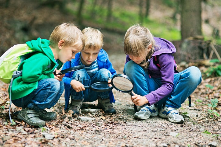 Why Creative Curriculum for Preschool is a must