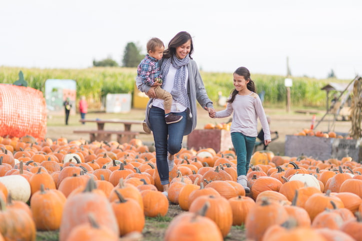 Learn the fall activities for the family